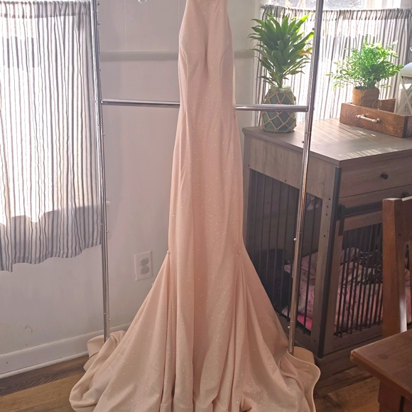 Prom/Event Dress - Picture 5 of 6